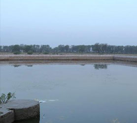 Hermoso estanque y exuberantes verdes de Maansarovar