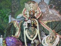 Sharavan Special Radhavallabh Darshan